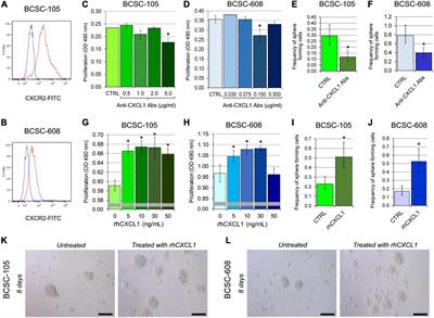 Frontiers The C X C Motif Chemokine Ligand 1 Sustains Breast